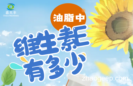 兆格分享：全自動液壓榨油機 維生素E是什么？什么食用油含維生素E高？