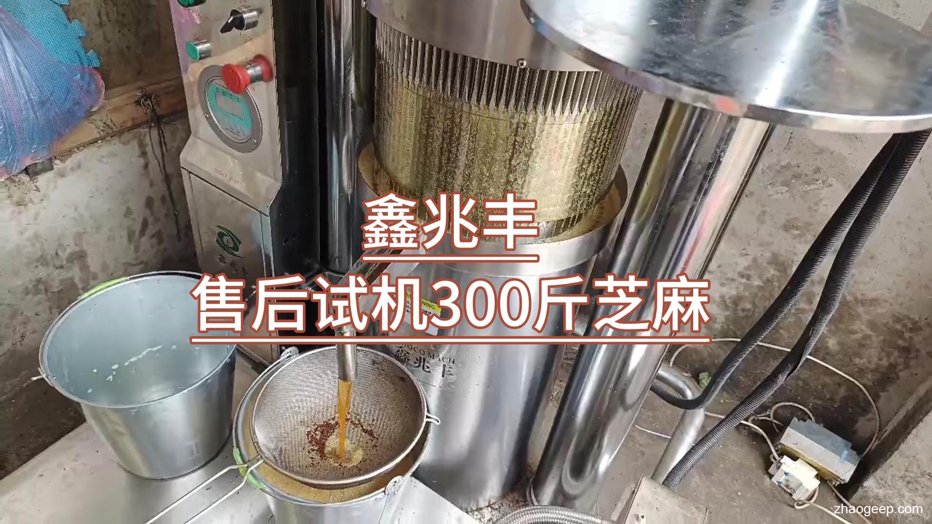 兆格環(huán)保_鑫兆豐全自動液壓榨油機(jī)_廠家售后走訪江西