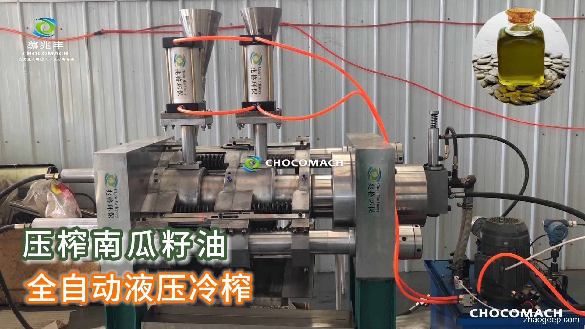 鑫兆豐YZW全自動顆粒榨機(jī)_南瓜籽榨油機(jī)_壓榨南瓜籽